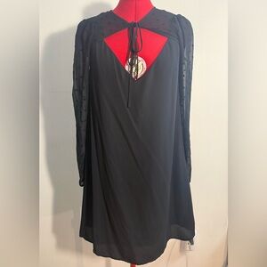 Black Dress with Sheer Swiss Dot Sleeves and Ribbon Detail